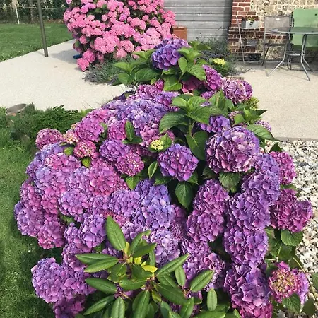 La Grange Aux Hortensias בית נופש *