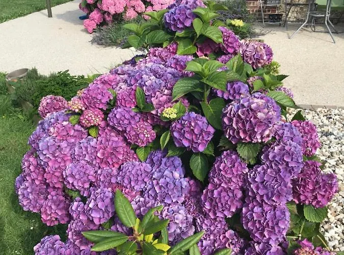 La Grange Aux Hortensias Dom wakacyjny *